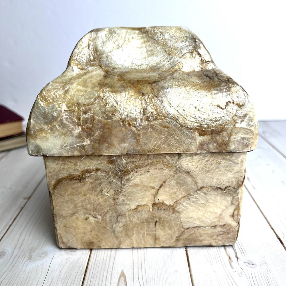 Vintage Capiz Shell Lidded Box Gold Tone Decorative Accent Storage Trinket